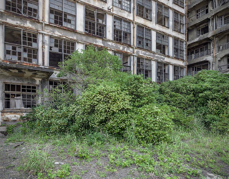 Hashima Island Photographs by Andrew Meredith Photography - School Photograph 14
